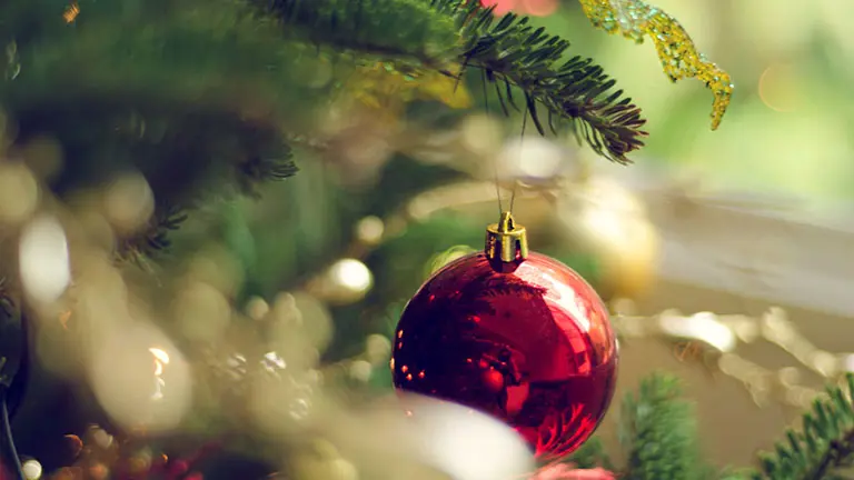 En röd julkula hänger i julgranen. Ljusen skimrar runt om.